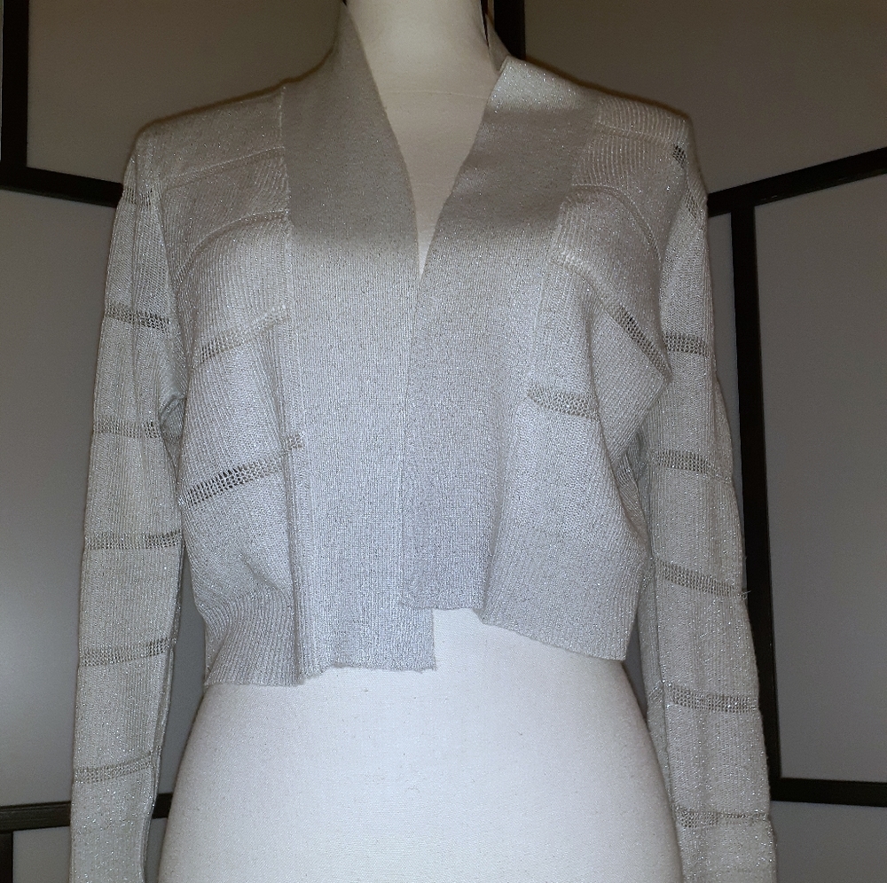 Long sleeve Silver cropped shrug